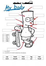 English Worksheet: Parts of the body