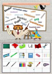 English Worksheet: Grammar and Activities