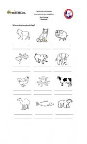 English Worksheet: animals habitat