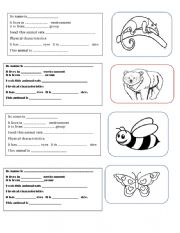 English Worksheet: ANIMAL CLASSWORK 
