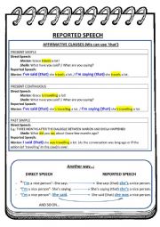 Reported Speech- Grammar.  &EXERCISES