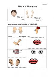 English Worksheet: Parts of the Body