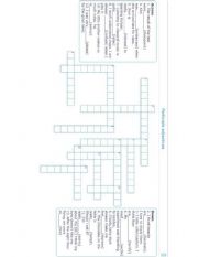 English Worksheet: Participle as adjectives crossword
