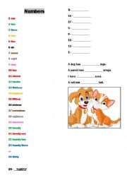 English Worksheet: Numbers