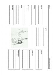 English Worksheet: USA mind map