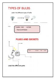types of bulbs 