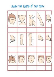 English Worksheet: Learn the part of the body