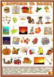 English Worksheet: Autumn is back : matching