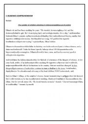 English Worksheet: reading comprehesion