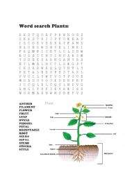 English Worksheet: Plants