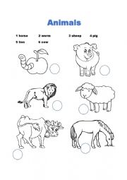 English Worksheet: Animals