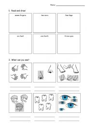 English Worksheet: body parts - singular and plural