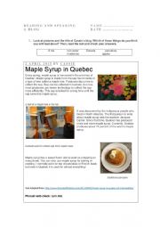English Worksheet: Maple Syrup in Quebec