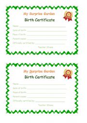 English Worksheet: Surprise garden project - birth certificate