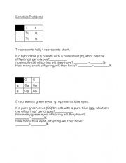 English Worksheet: Biology Genetics Problems