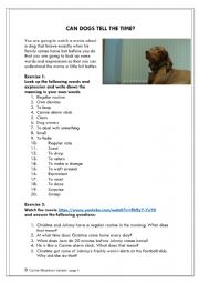 English Worksheet: Can dogs tell the Time?