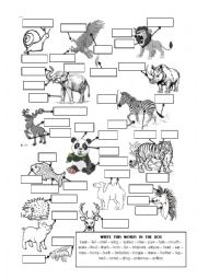 English Worksheet: ANIMAL BODY PARTS