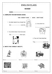 English Worksheet: REVIEW OF HAVE / CAN