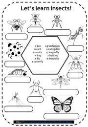 insects coloring pages for kids