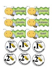 English Worksheet: bees