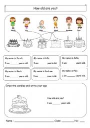 English Worksheet: How old are you