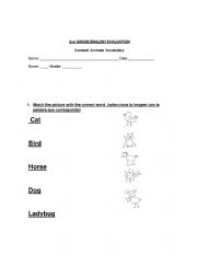 English Worksheet: animals test