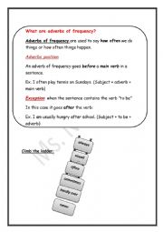 English Worksheet: adverbs of freqquency