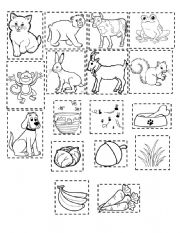 English Worksheet: What do animals eat?