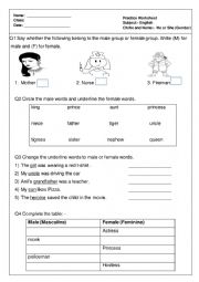 English Worksheet: Gender