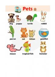 English Worksheet: Animals