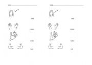 English Worksheet: body parts 