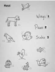 English Worksheet: Wings, Paws and Scales. A Matching Exercise (B&W)