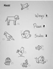English Worksheet: Wings, Paws and Scales. A Matching Exercise (B&W)