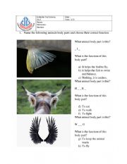 English Worksheet: Animals body parts functions