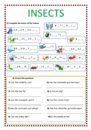 English Worksheet: INSECTS