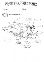 English Worksheet: ABOUT DINOSAURS