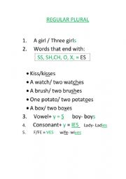 English Worksheet: regular/irregular plural
