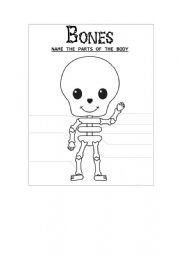 English Worksheet: Bones- Name the parts of the body