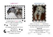 Lost cat, missing dog