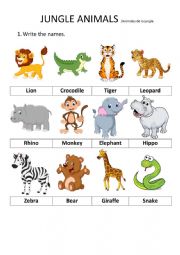 English Worksheet: Animals