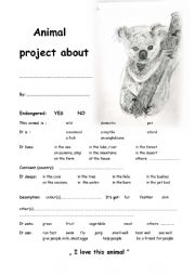 English Worksheet: Koala project