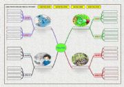 POLLUTION : TYPES, CAUSES AND EFFECTS ( PART TWO : MIND MAP FILLING )