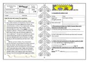 English Worksheet: End of first term