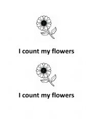 I count my flowers