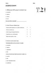 English Worksheet: exercises vertebrates