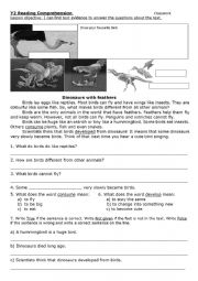 English Worksheet: Comprehension Birds