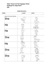 English Worksheet: He or She