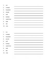 English Worksheet: Transportation Unscramble