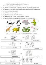 Animals activities