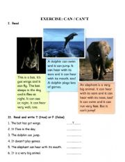 English Worksheet: Exercise CAN CANT